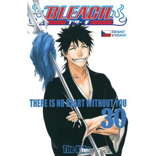Bleach 30: There Is No Heart With You