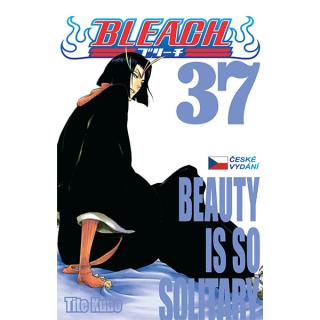 Bleach 37: Beauty Is So Solitary