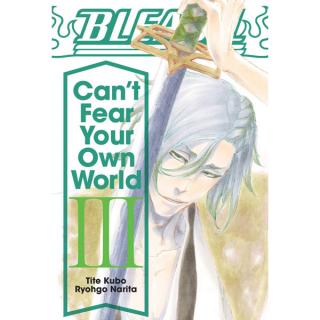 Bleach: Can’t Fear Your Own World 03 (Light Novel)