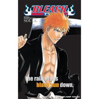 Bleach MASKED: Official Character Book 1