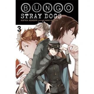 Bungo Stray Dogs 3: The Untold Origins of the Detective Agency (Light novel)