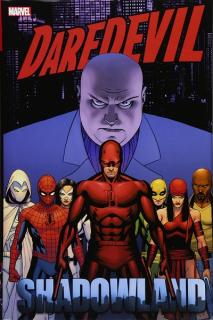 Daredevil: Shadowland Omnibus