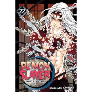 Demon Slayer: Kimetsu no Yaiba 22