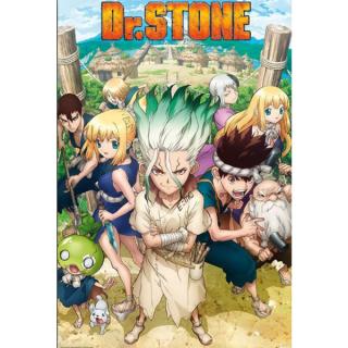 Dr. Stone Poster 91,5 x 61 cm