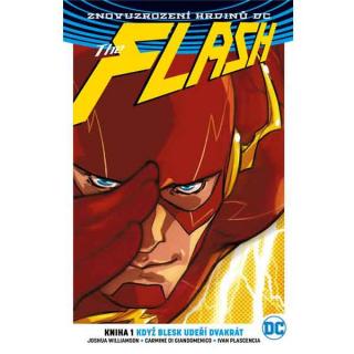 Flash 1: Když blesk udeří dvakrát (Znovuzrození hrdinů DC)