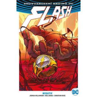 Flash 5: Negativ (Znovuzrození hrdinů DC)