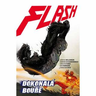 Flash 7: Dokonalá bouře (Znovuzrození hrdinů DC)