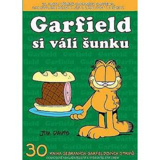 Garfield 30 - Garfield si válí šunku