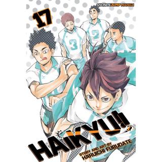 Haikyu!! 17