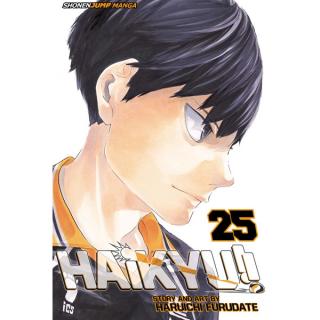 Haikyu!! 25