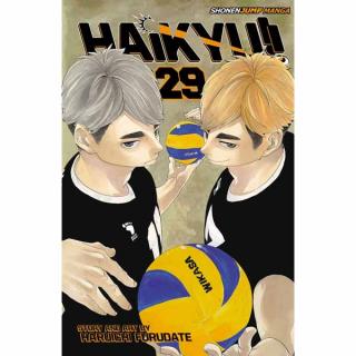 Haikyu!! 29