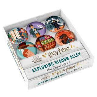 Harry Potter Exploring Diagon Alley Glass Magnet Set 6 ks