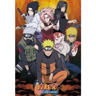 Naruto Shippuden Group Poster 91,5 x 61 cm
