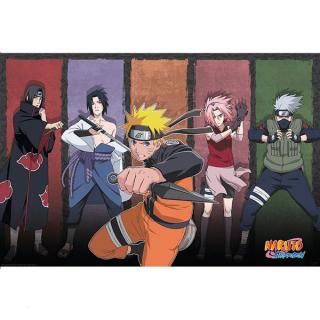 Naruto Shippuden Naruto & allies Poster 91,5 x 61 cm