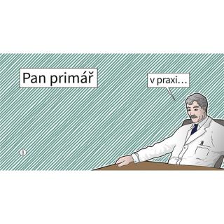 Pan primář v praxi...