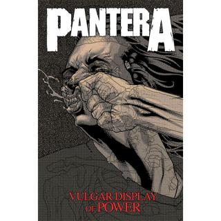 Pantera: Vulgar Display of Power