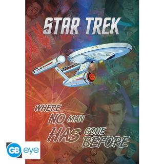 Star Trek Ehere No Man Has Gone Before Poster 91,5 x 61 cm