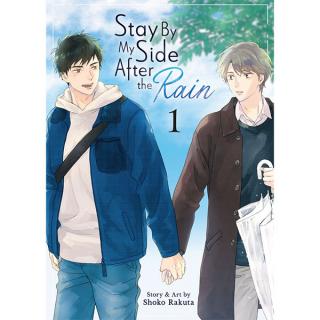 Stay By My Side After the Rain 1