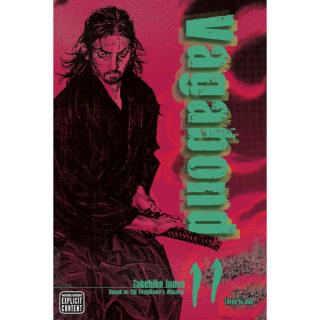 Vagabond 11