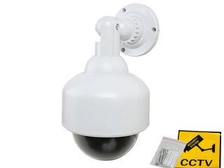 Securia Pro Atrapa Camera PTZ Dome MPC012