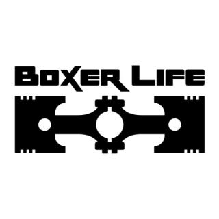 Samolepka Boxer Life na auto a motorku, tuning nálepka (5024)