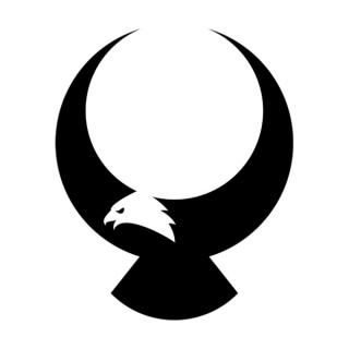 Samolepka logo orla na auto a motorku, tuning nálepka (4995)