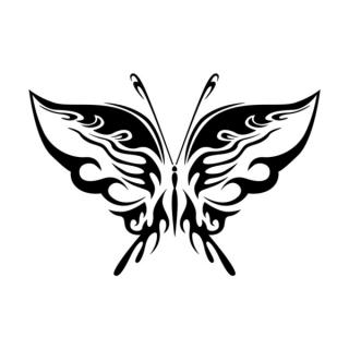 Samolepka motýľ na auto a motorku, tuning nálepka (3472)