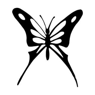 Samolepka motýľ s krídlami na auto a motorku, tuning nálepka (3568)