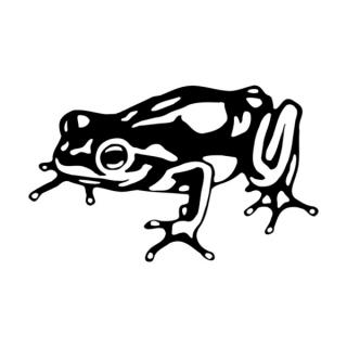 Samolepka žaba na auto a motorku, tuning nálepka (3454)