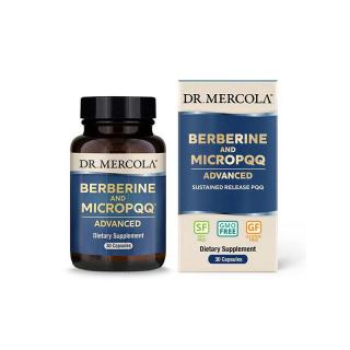 BERBERINE MICROPQQ ADVANCED, 30 KAPSLÍ - DR. MERCOLA