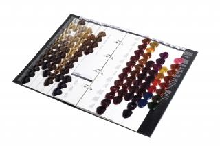 Vzorkovník farieb na vlasy Black Sintesis Color Cream 100ml (Vzorkovník farieb Black Sintesis Color Cream. Táto rada obsahuje 110 odtieňov.)