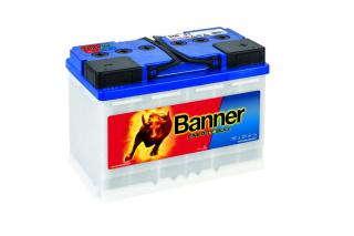 BANNER Energy Bull 95601