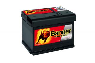 BANNER Power Bull P6009