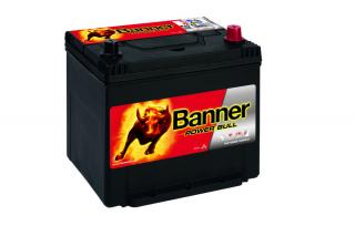 BANNER Power Bull P6062