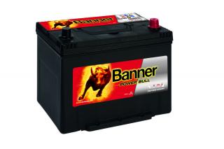 BANNER Power Bull P8009
