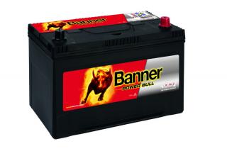 BANNER Power Bull P9504