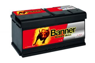 BANNER Power Bull P9533