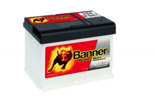 BANNER Power Bull Prof. P5040