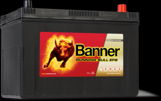 Banner Running Bull EFB 595 15 (EFB 59515)
