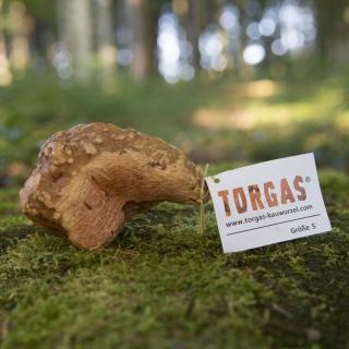 TORGAS koreňové drevo na žuvanie Veľkosť: M