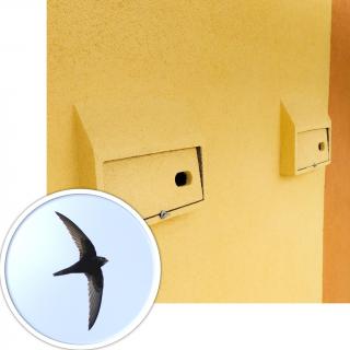 Hniezdna búdka pre vtáky BNB Box APK-1 jednokomorová z drevobetónu pre dážďovníky