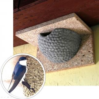 Vtáčie hniezdo BNB Box APZ-1/1 z drevobetónu pre belorítky