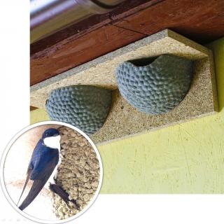Vtáčie hniezdo BNB Box APZ-1/2 z drevobetónu pre belorítky, dvojhniezdo