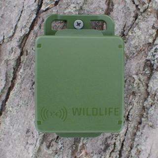 Wildlife Acoustics SONG METER MICRO