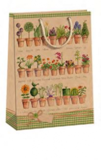 ARGUS papierová darčeková taška  NATUR  (prírodný) T8, Izbové Kvety