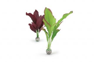 Balenie rastlín zelená/fialová stredná (46101)