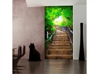 Fototapeta na dvere Stairs from nature (Moderná tapeta na dvere )