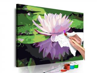 Obraz - maľovaný podľa čísel Water Lily (Rozmer 60 x 40cm)