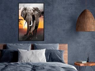 Plagát v ráme Majestic Elephant (Plagát v čiernom ráme)