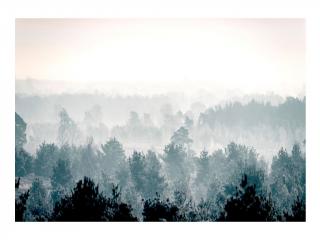 Samolepiaca fototapeta Winter Forest